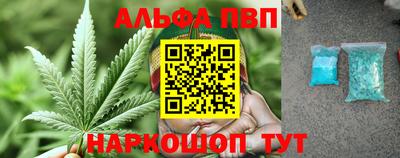 стаф Донецк