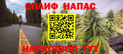 хмурый Донской